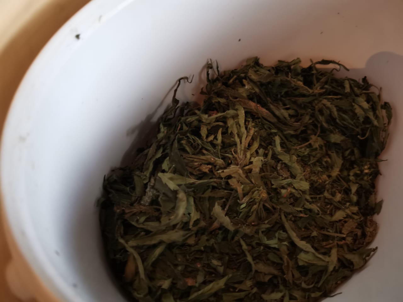 У сахалинца изъяли больше полукилограмма марихуаны