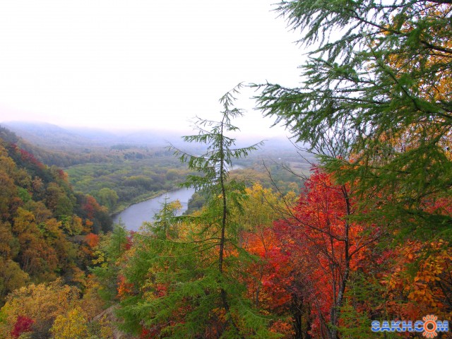 Фото санита