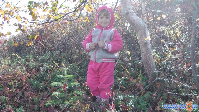 Фото SCRAMBLER75