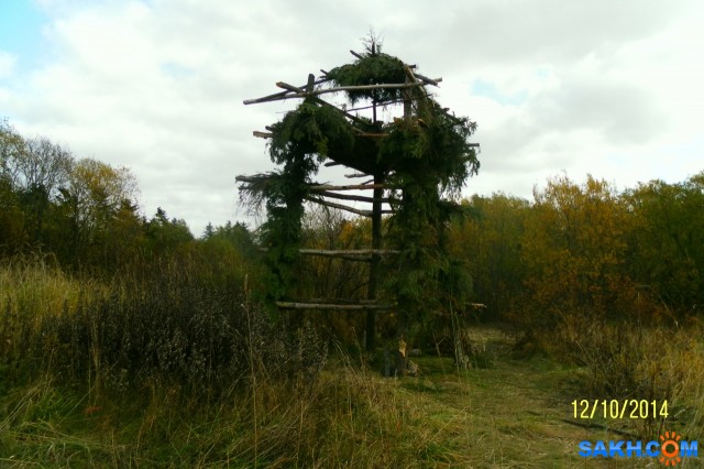 Фото Progress999