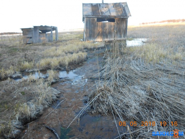 Фото твоя_галлюцинация