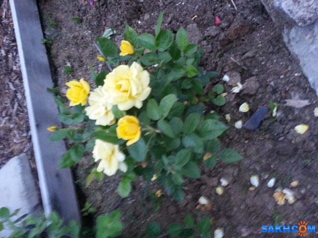 Фото andru79