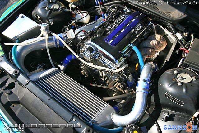 Фото Supra_65