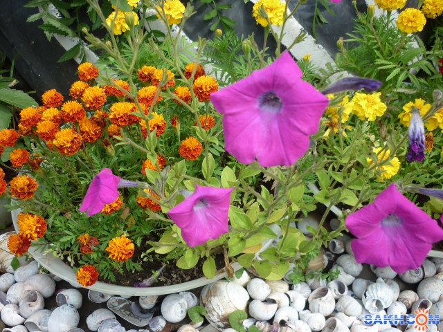 Фото Анна.Б