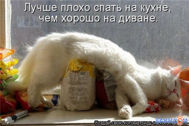 Фото Д30