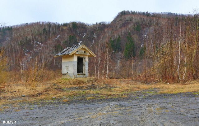 Фото камуй