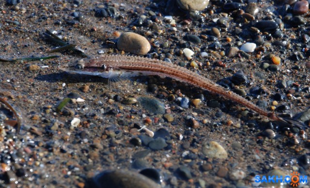 Фото Вячеслав