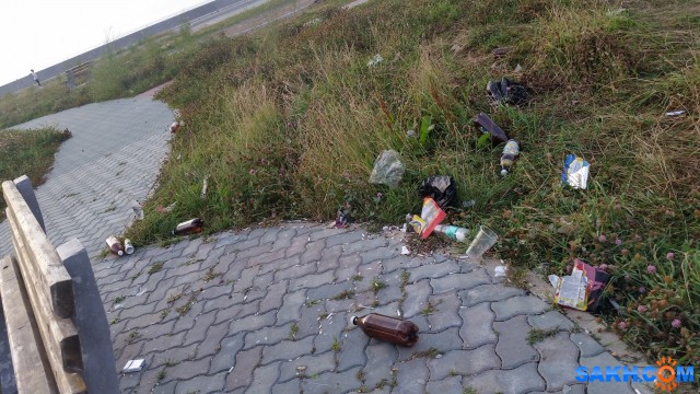 Фото лебедь_белая