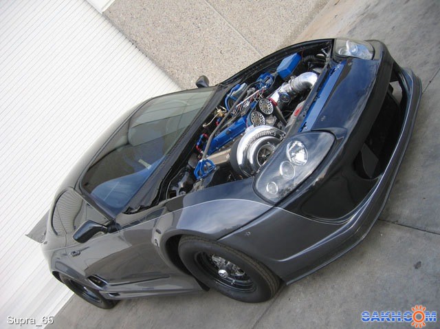 Фото Supra_65