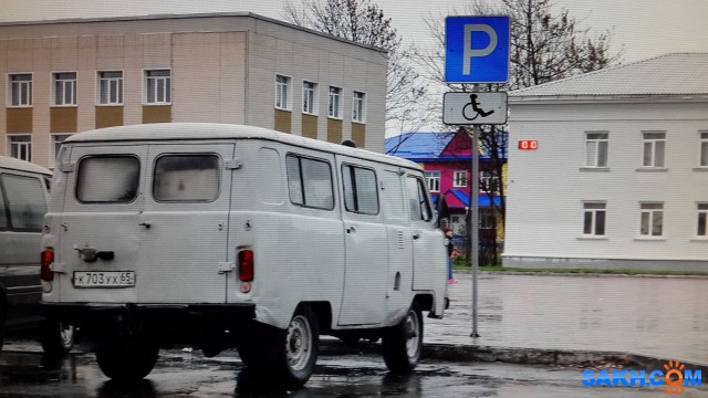 Фото дикаяроза