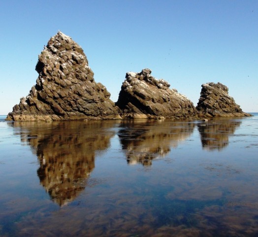 Фото almasof