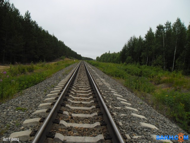 Фото алтаец