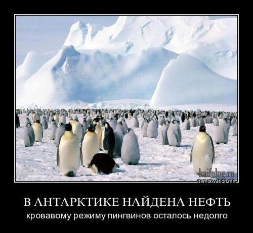 Фото труляляй