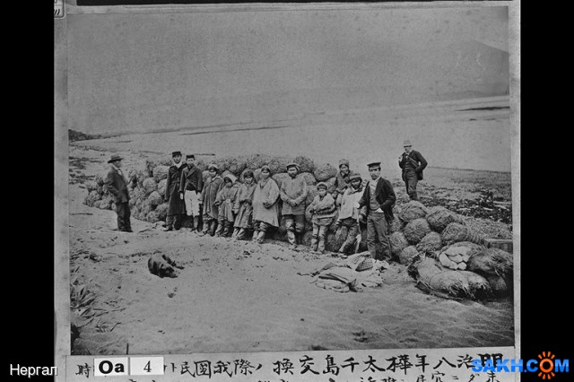 Фото Нергал