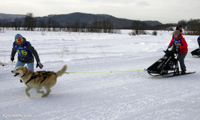 Фото Киномеханик