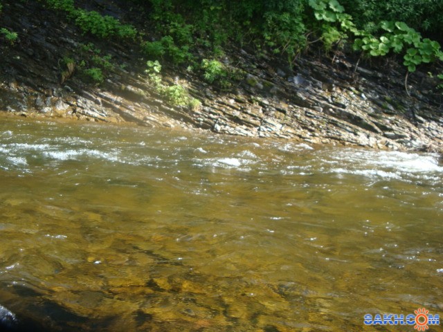 Фото санита