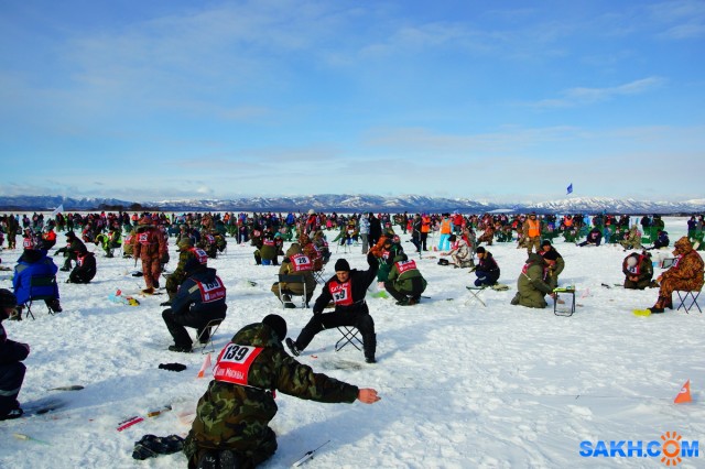 Фото voviksirota