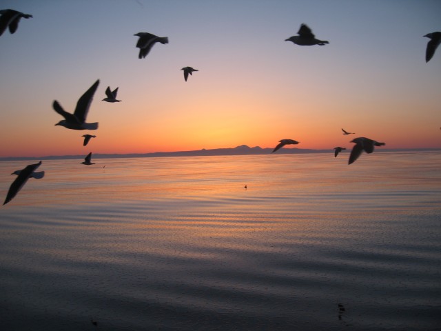 Фото simbadda315