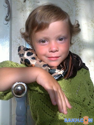 Фото борзой-ким