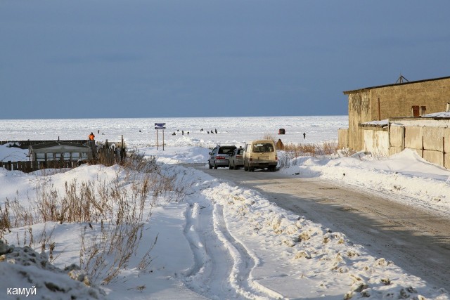 Фото камуй