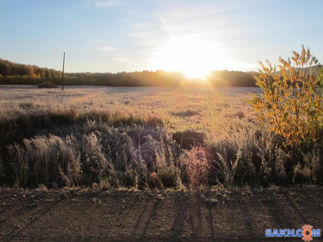 Фото Шуршик