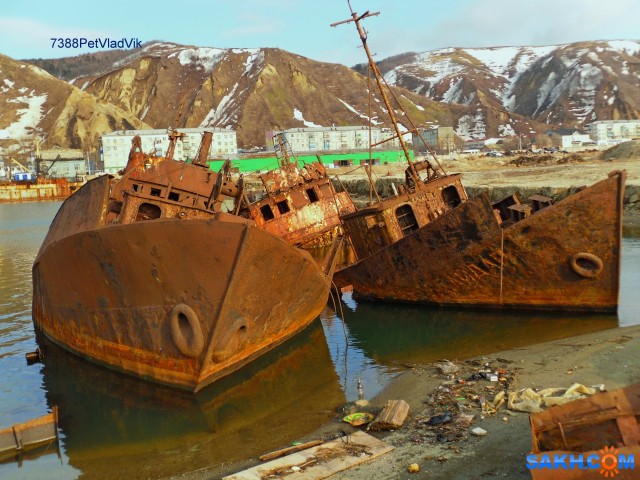 Фото 7388PetVladVik