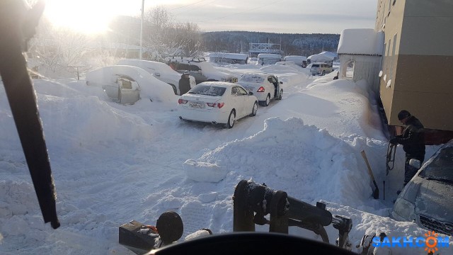 Фото Вофчик