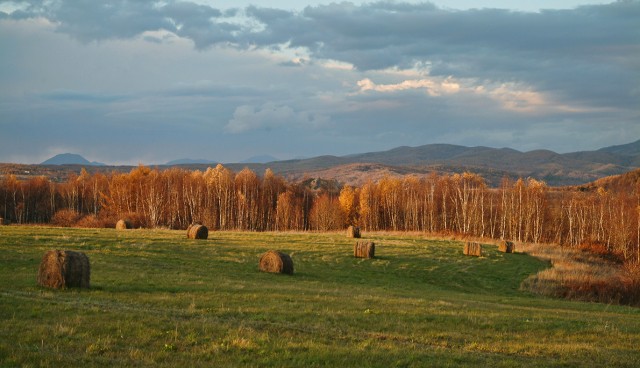 Фото Mikhaylovich