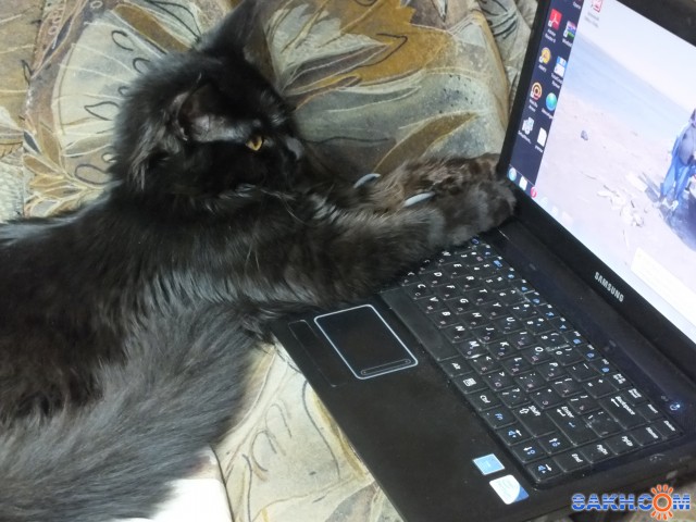 Фото апостол1