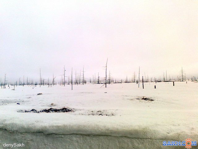 Фото denySakh