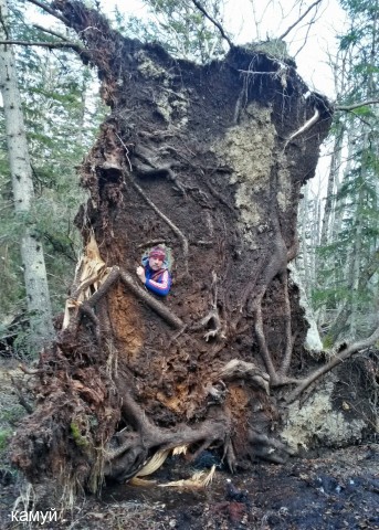Фото камуй