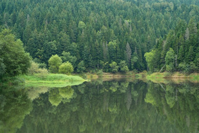 Фото Mikhaylovich