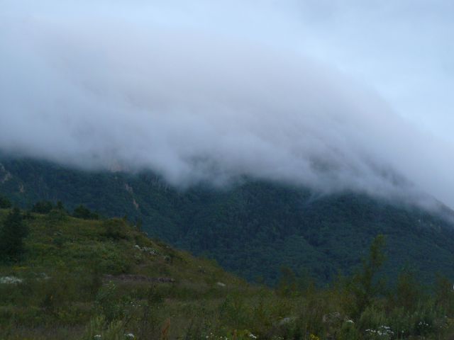 Фото lapih