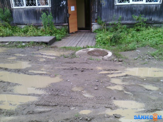 Фото паук-шнюк