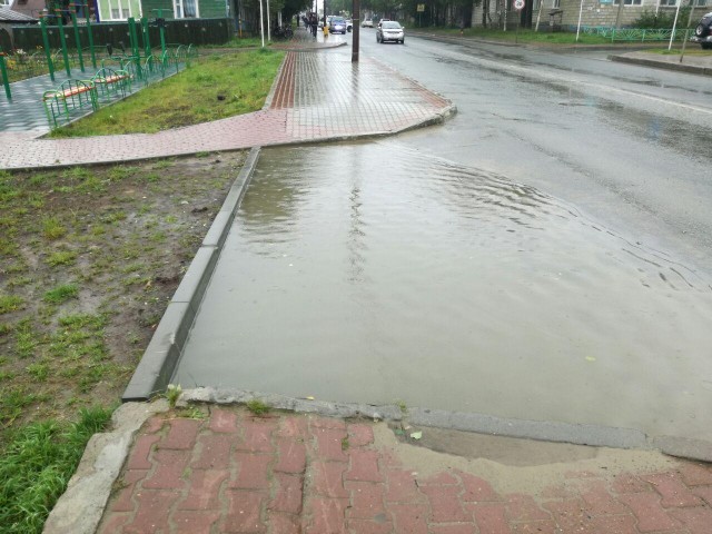 Фото Серый_Беркут