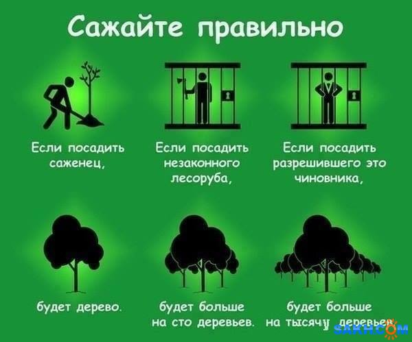 Фото chkhorosh