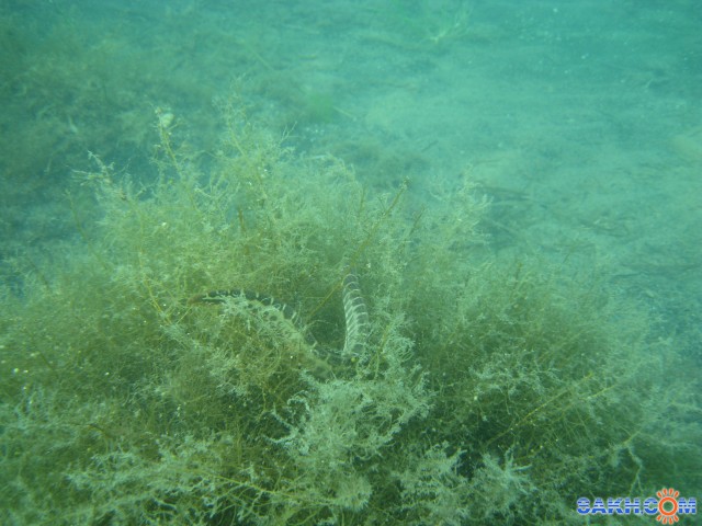 Фото Вячеслав