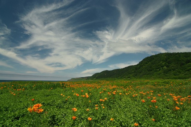 Фото Mikhaylovich