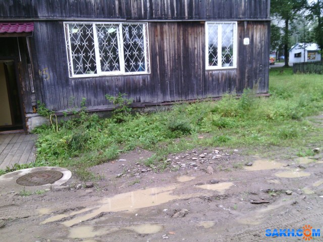 Фото паук-шнюк