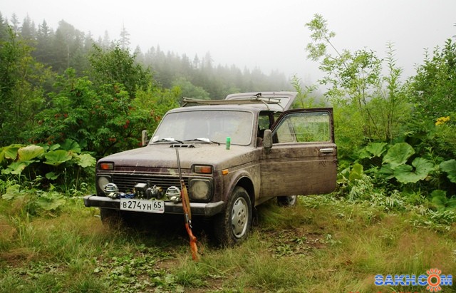 Фото sergei6401