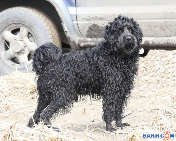 Фото Vitoldovich