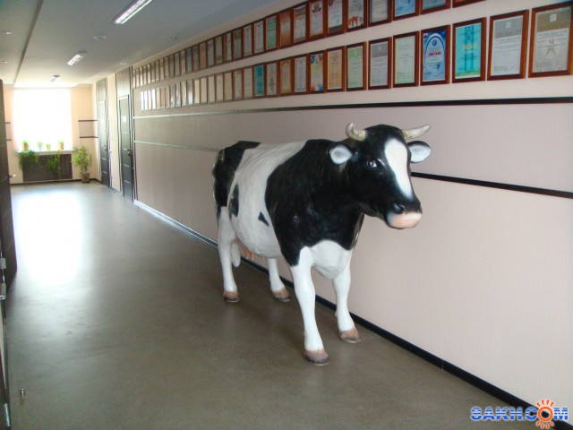 Фото А2