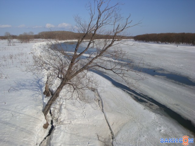 Фото санита