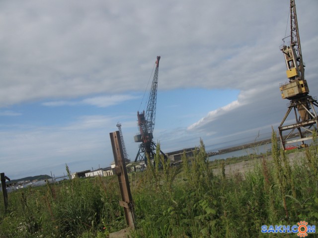 Фото зеленоглазая