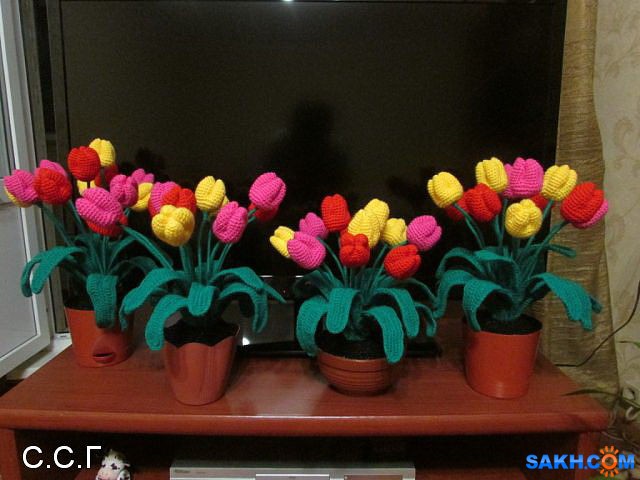 Фото светланка78