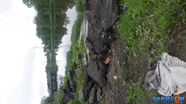 Фото simsergei