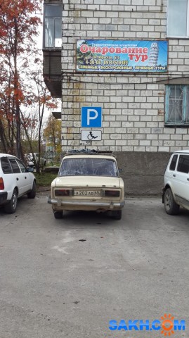 Фото дикаяроза