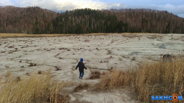 Фото лисичка-сестричка