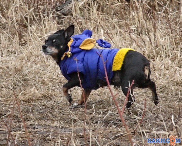 Фото Vitoldovich