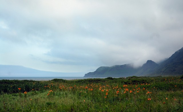 Фото Mikhaylovich